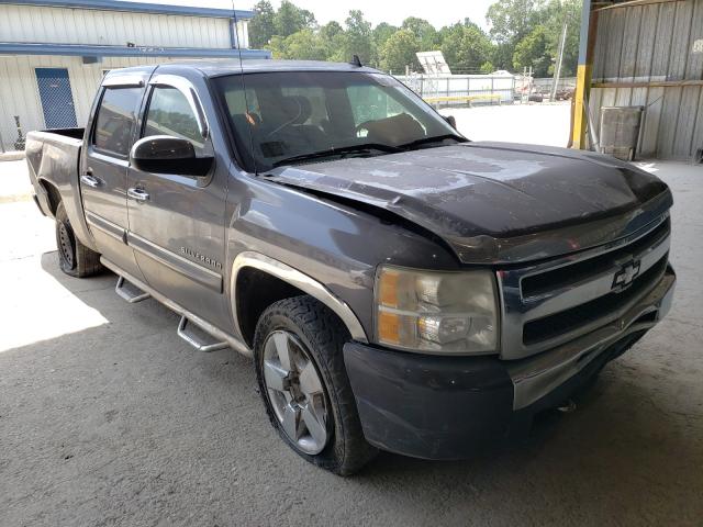 CHEVROLET SILVERADO 2010 3gcrcse0xag139701