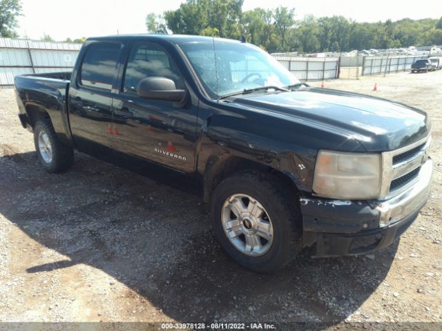 CHEVROLET SILVERADO 1500 2010 3gcrcse0xag171015