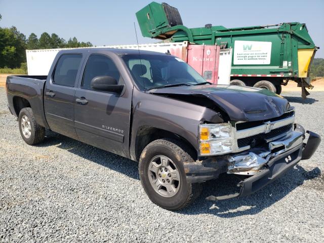 CHEVROLET SILVERADO 2010 3gcrcse0xag176523