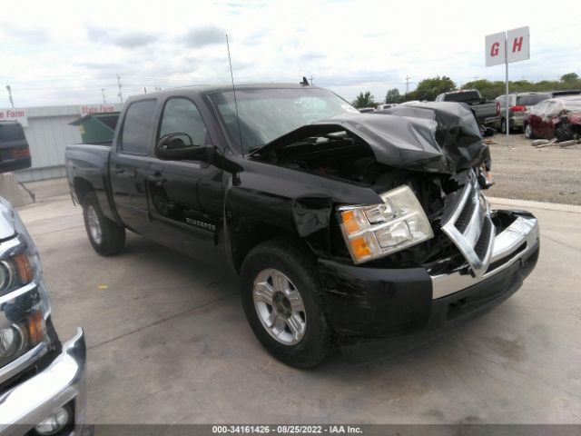 CHEVROLET SILVERADO 1500 2010 3gcrcse0xag266058