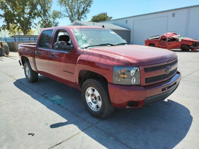 CHEVROLET SILVERADO 2010 3gcrcse3xag142219