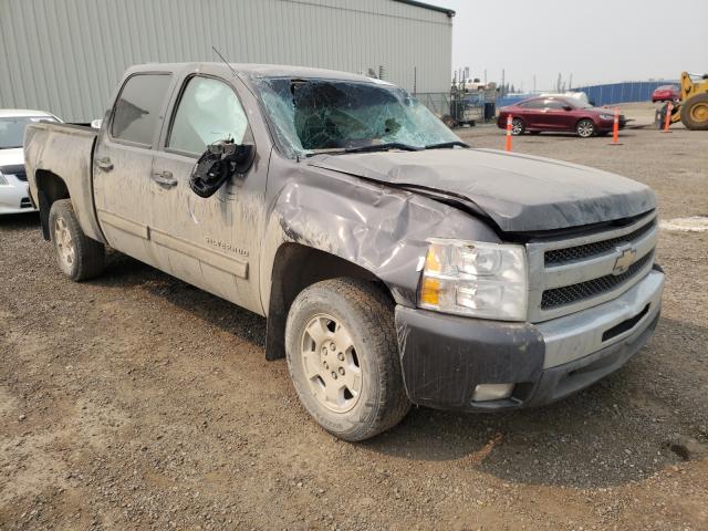 CHEVROLET SILVERADO 2010 3gcrcsea3ag258506