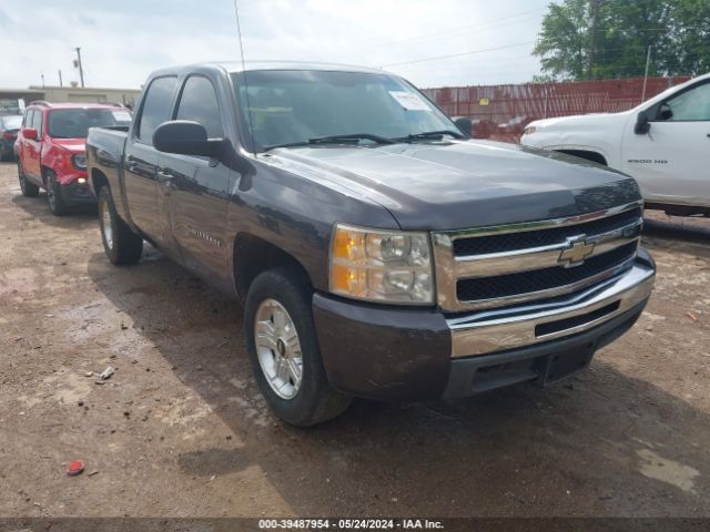 CHEVROLET SILVERADO 1500 2010 3gcrcsea5ag150291