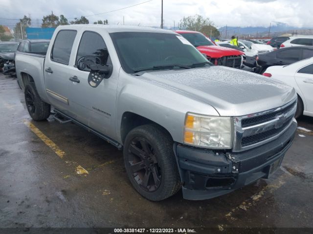 CHEVROLET SILVERADO 1500 2010 3gcrcsea5ag156933