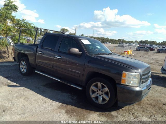 CHEVROLET SILVERADO 1500 2010 3gcrcsea6ag170100