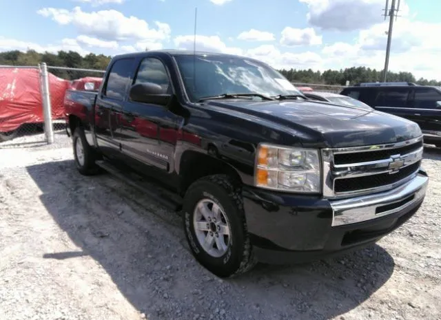 CHEVROLET SILVERADO 1500 2010 3gcrcsea6ag202267