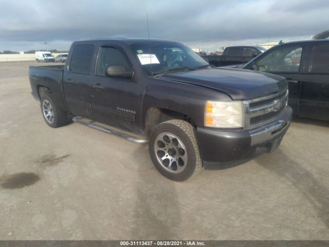 CHEVROLET SILVERADO 1500 2010 3gcrcsea9ag102034