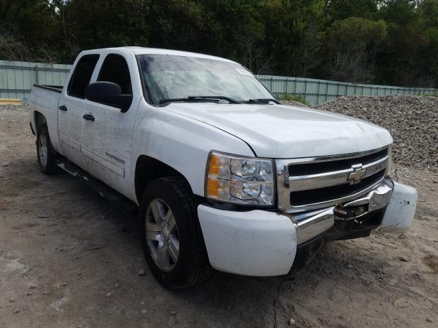 CHEVROLET SILVERADO 2010 3gcrcseaxag101698