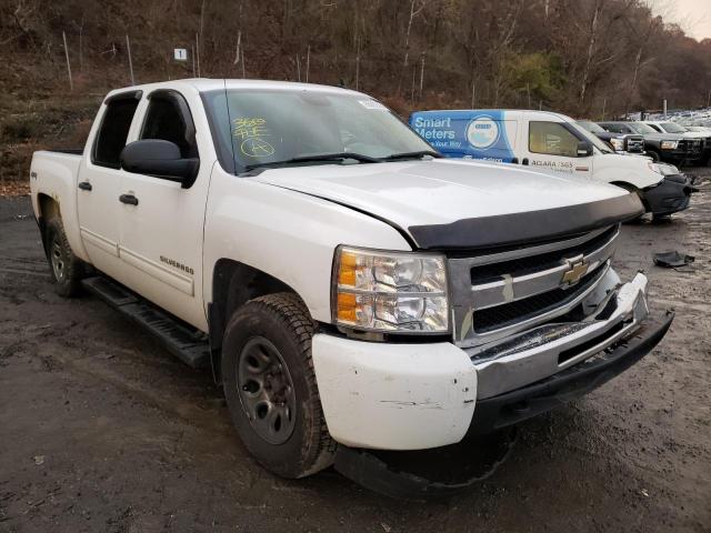 CHEVROLET SILVERADO 2010 3gcrkrea8ag142214