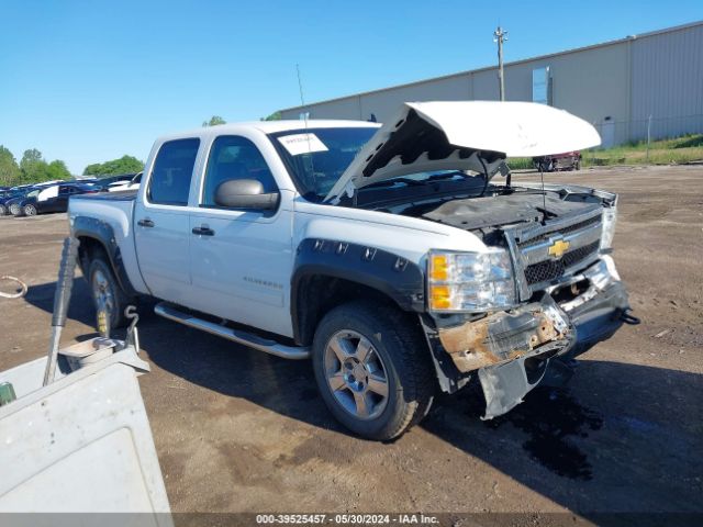 CHEVROLET SILVERADO 2010 3gcrkreaxag195187