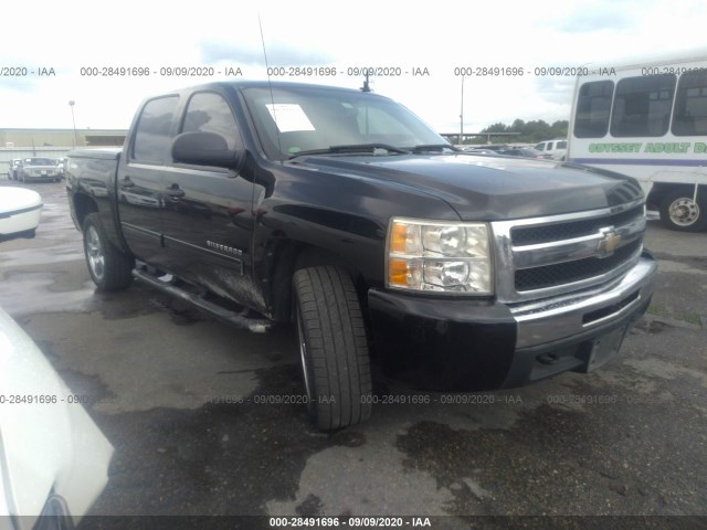 CHEVROLET SILVERADO 1500 2010 3gcrkse33ag211058