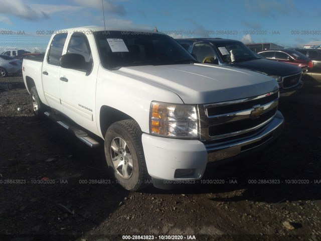 CHEVROLET SILVERADO 1500 2010 3gcrkse34ag163215