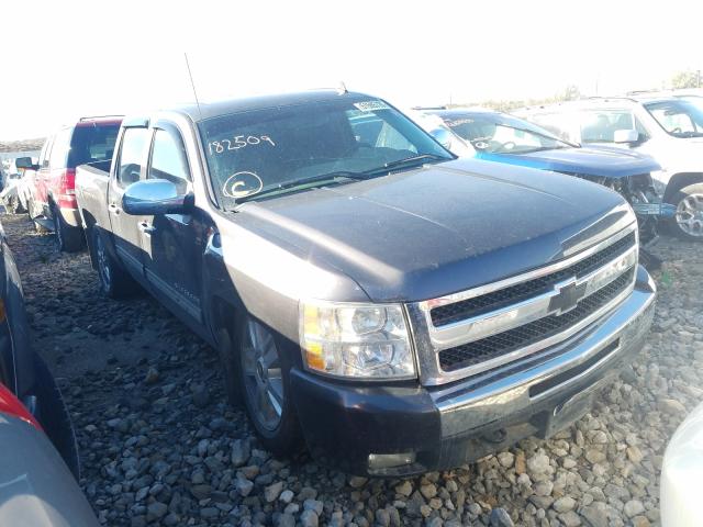 CHEVROLET SILVERADO 2010 3gcrkse36ag182509