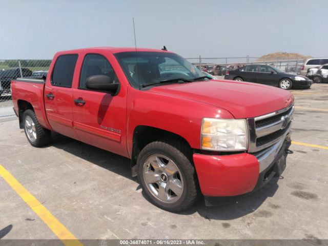 CHEVROLET SILVERADO 1500 2010 3gcrkse38ag137913