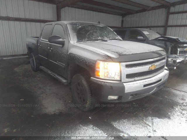 CHEVROLET SILVERADO 1500 2010 3gcrkse3xag167334