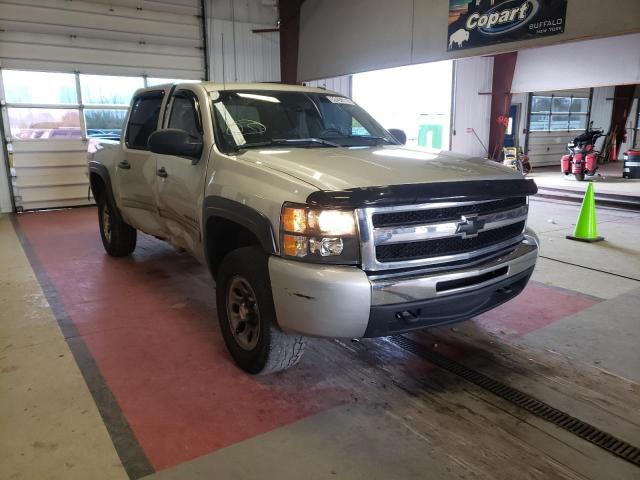 CHEVROLET SILVERADO 2010 3gcrksea0ag110624