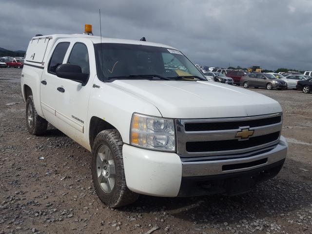 CHEVROLET SILVERADO 2011 3gcukuej2bg303610