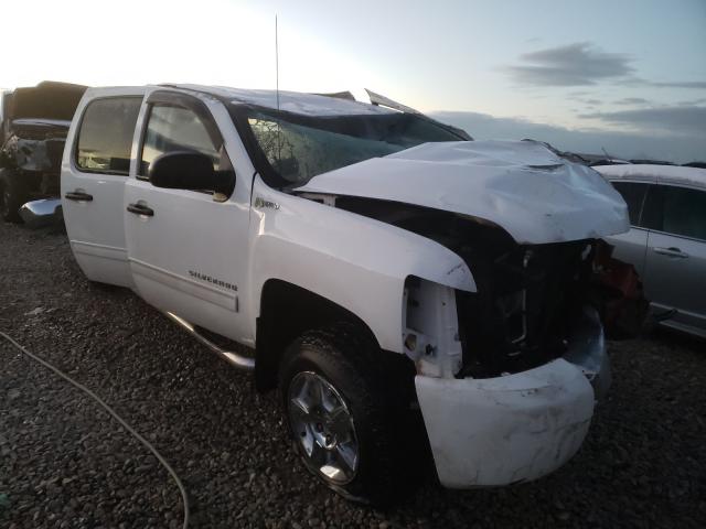 CHEVROLET SILVERADO 2010 3gcxkuej0ag217336