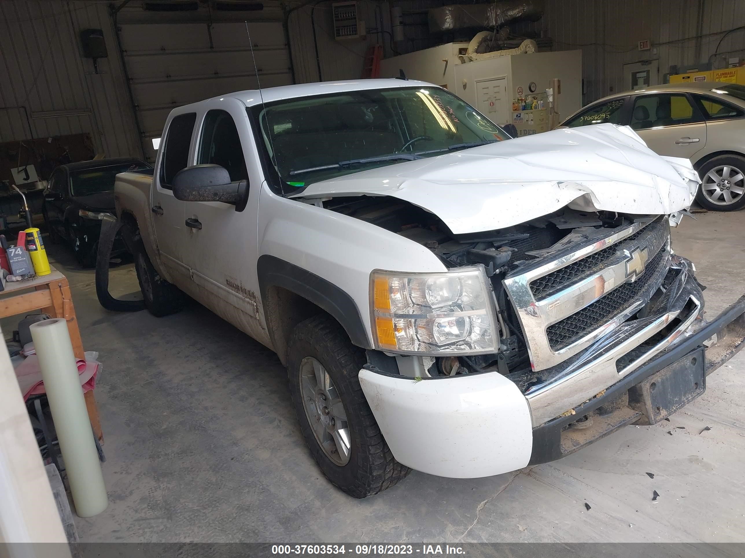 CHEVROLET SILVERADO 2010 3gcxkuejxag200558