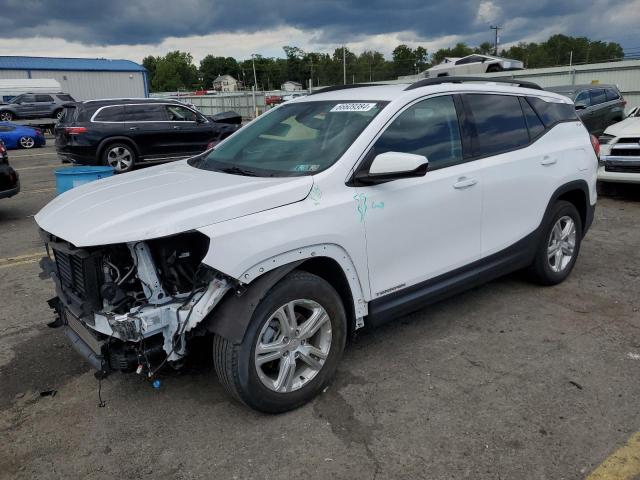 GMC TERRAIN SL 2020 3gkalmev4ll273123