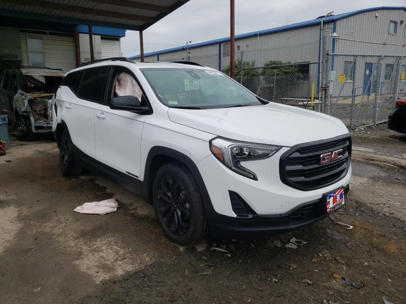 GMC TERRAIN SL 2020 3gkalmev9ll189508