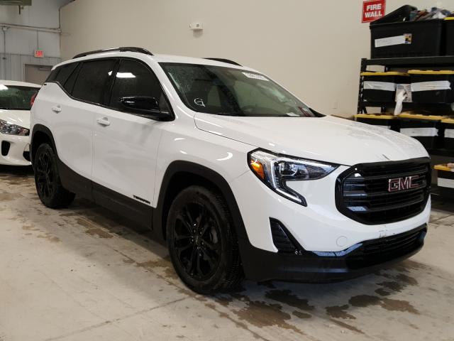 GMC TERRAIN SL 2020 3gkalmev9ll314300