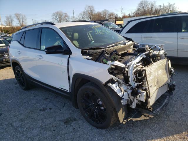 GMC TERRAIN SL 2020 3gkalpev0ll290390