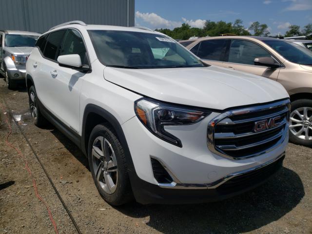 GMC TERRAIN 2019 3gkalpev2kl287392