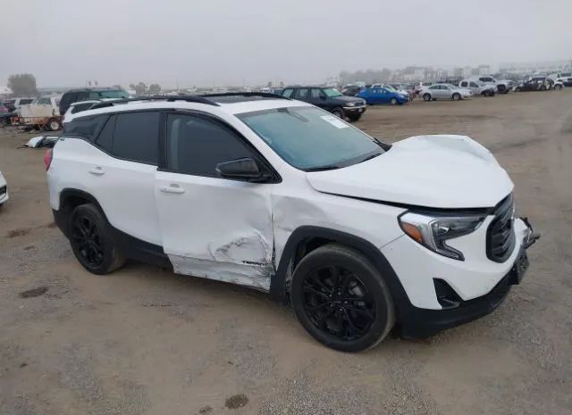 GMC TERRAIN 2021 3gkalpev3ml377394