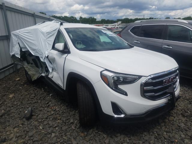 GMC TERRAIN SL 2020 3gkalpevxll252584