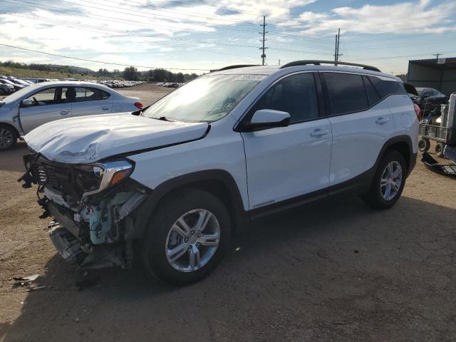 GMC TERRAIN SL 2019 3gkaltev1kl331293