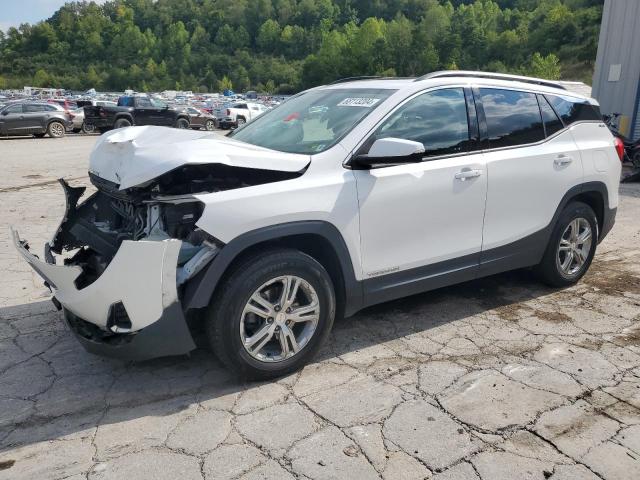 GMC TERRAIN SL 2019 3gkaltev2kl217223