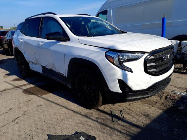 GMC TERRAIN SL 2020 3gkaltev2ll191501