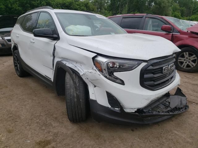 GMC TERRAIN SL 2019 3gkaltev3kl390300