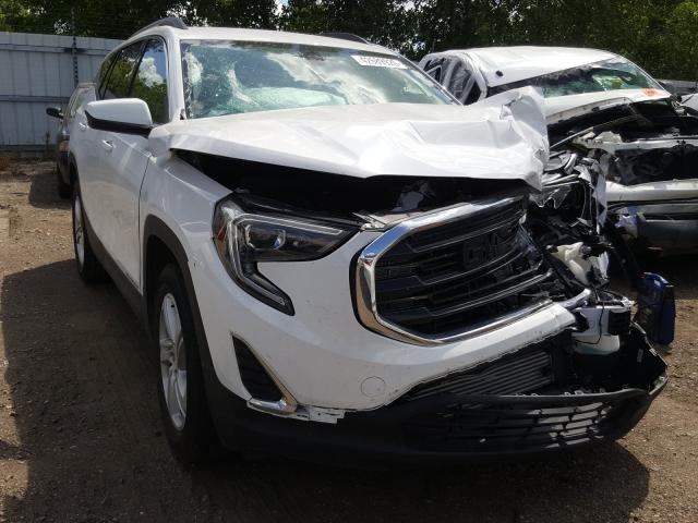 GMC TERRAIN SL 2019 3gkaltev6kl291745