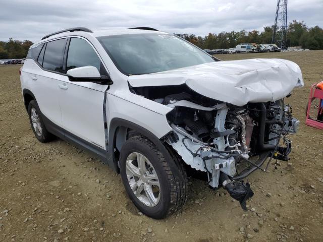 GMC TERRAIN SL 2019 3gkaltev6kl354729