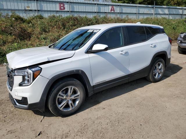 GMC TERRAIN SL 2022 3gkaltev6nl258460