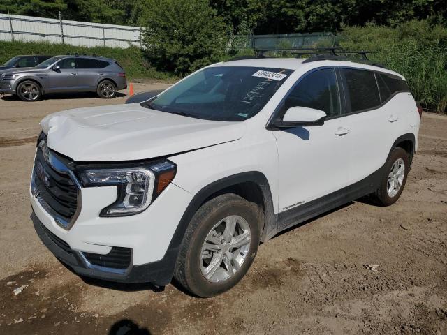 GMC TERRAIN SL 2022 3gkaltev8nl129491