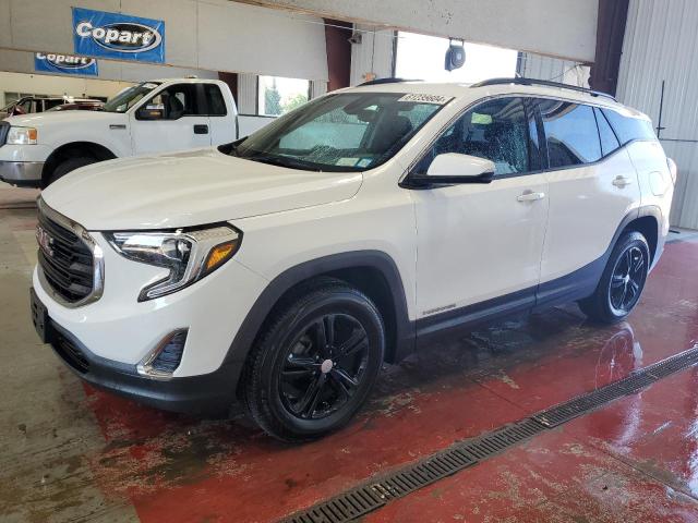 GMC TERRAIN SL 2020 3gkaltevxll102399