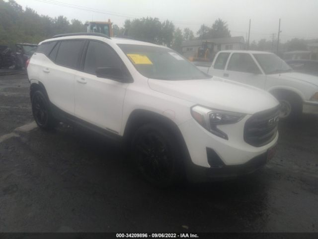 GMC TERRAIN 2020 3gkaltevxll203328