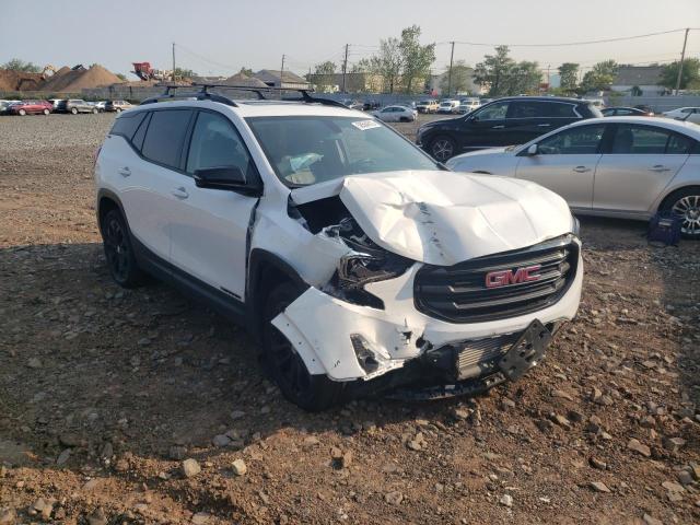 GMC TERRAIN SL 2019 3gkalvex9kl317798