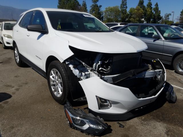 CHEVROLET EQUINOX LS 2019 3gnaxhev0ks522360