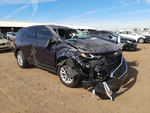 CHEVROLET EQUINOX LS 2019 3gnaxhev0ks524092