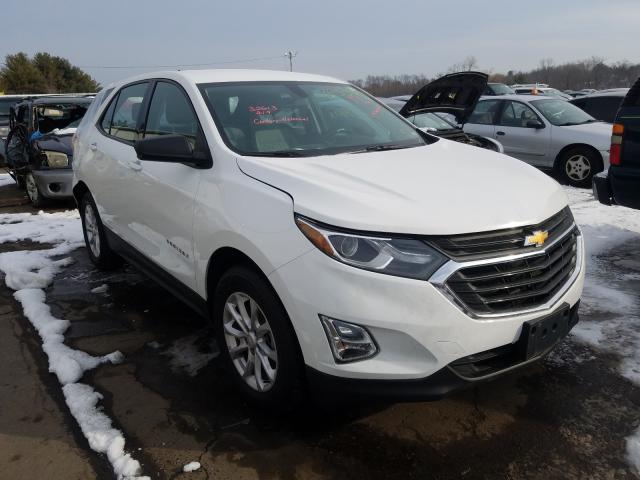 CHEVROLET EQUINOX LS 2019 3gnaxhev0ks627562