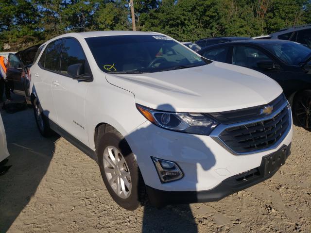 CHEVROLET EQUINOX LS 2019 3gnaxhev0ks629490