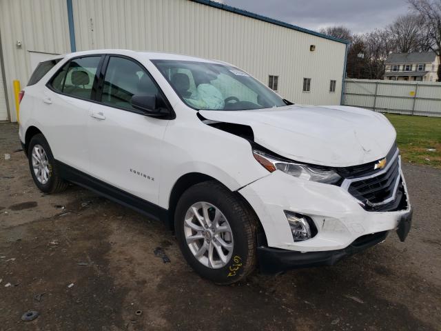 CHEVROLET EQUINOX LS 2019 3gnaxhev0ks654339