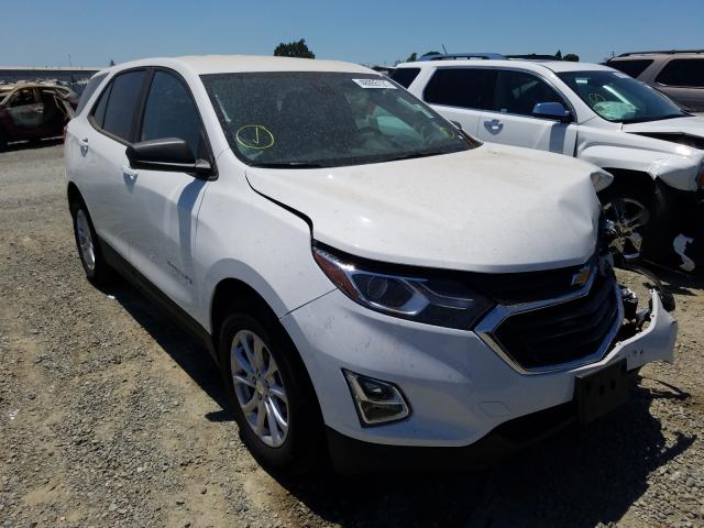 CHEVROLET EQUINOX LS 2020 3gnaxhev0ls732748