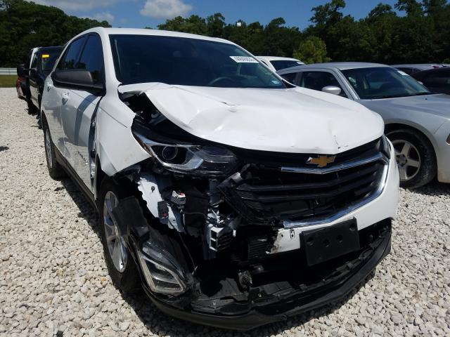 CHEVROLET EQUINOX LS 2018 3gnaxhev1jl100820