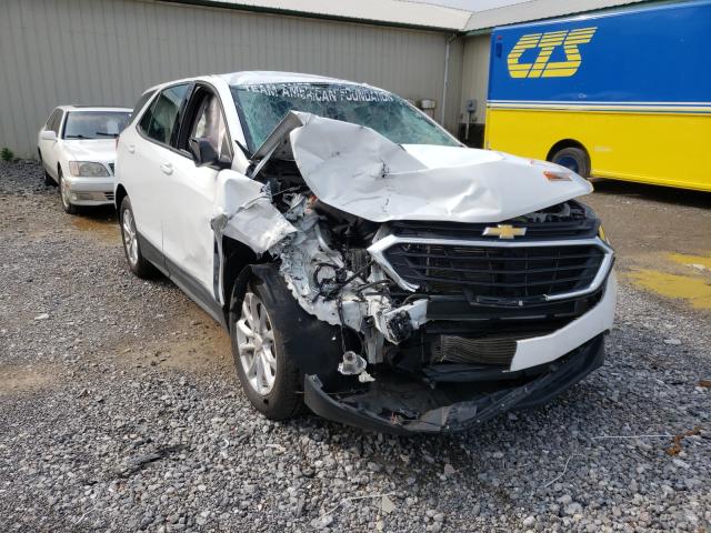 CHEVROLET EQUINOX LS 2018 3gnaxhev1js583411