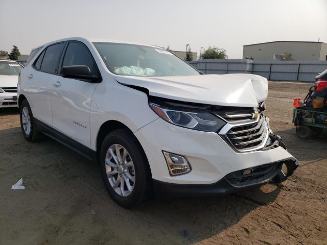 CHEVROLET EQUINOX LS 2019 3gnaxhev1kl163885